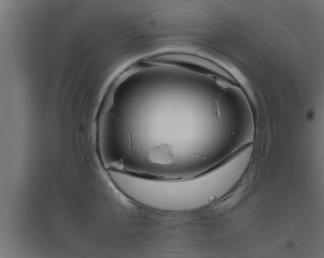 X0000094800807200711241422