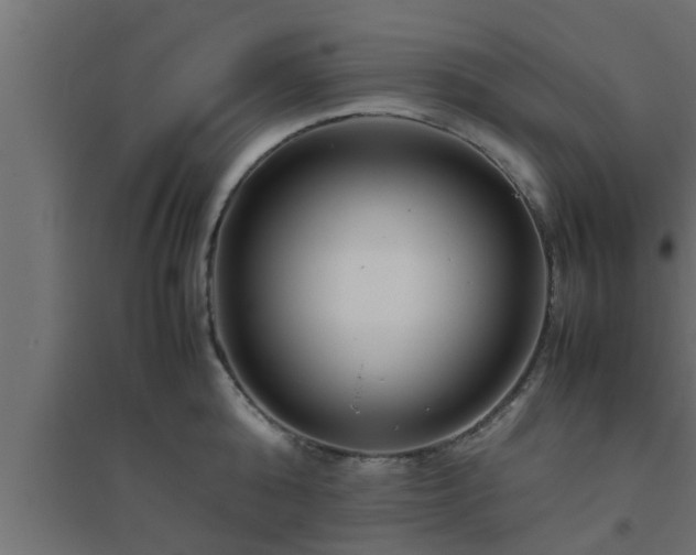 X0000094800808200711241422