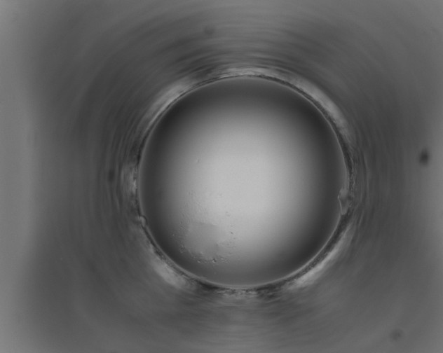 X0000094800809200711241422