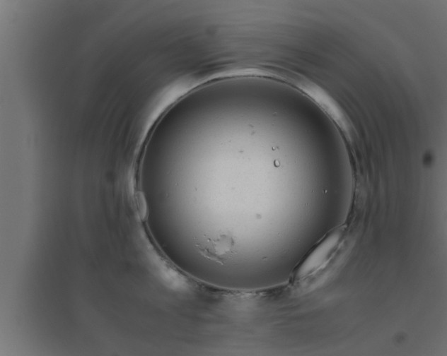 X0000094800813200711241422