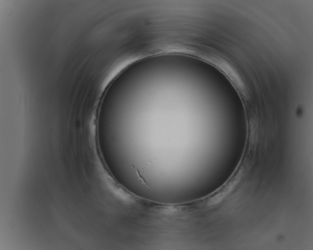 X0000094800814200711241422