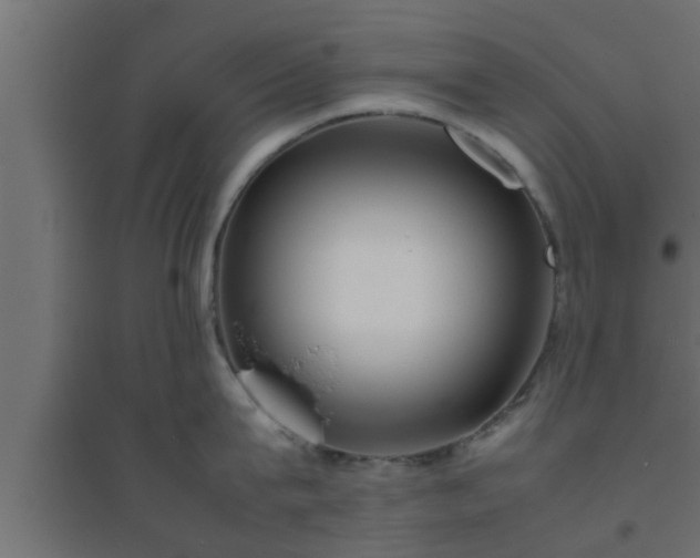 X0000094800815200711241422