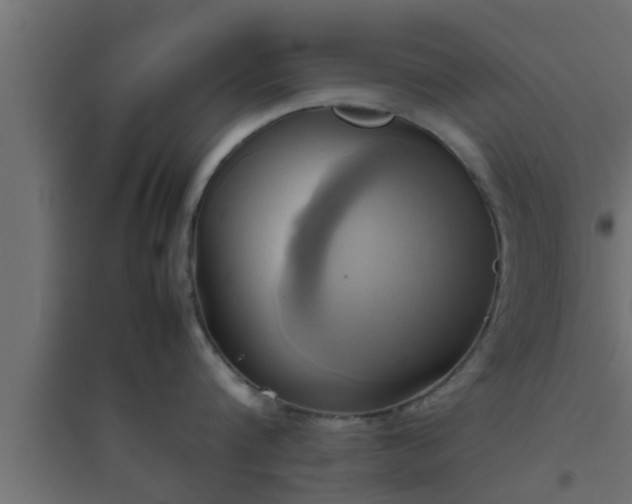 X0000094800816200711241422