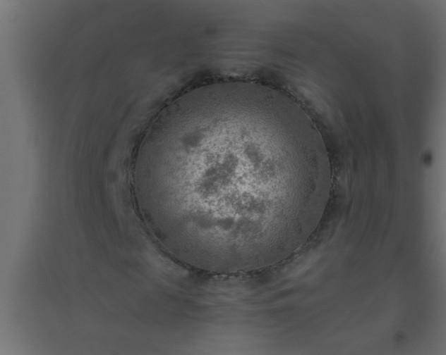 X0000094800817200711241422