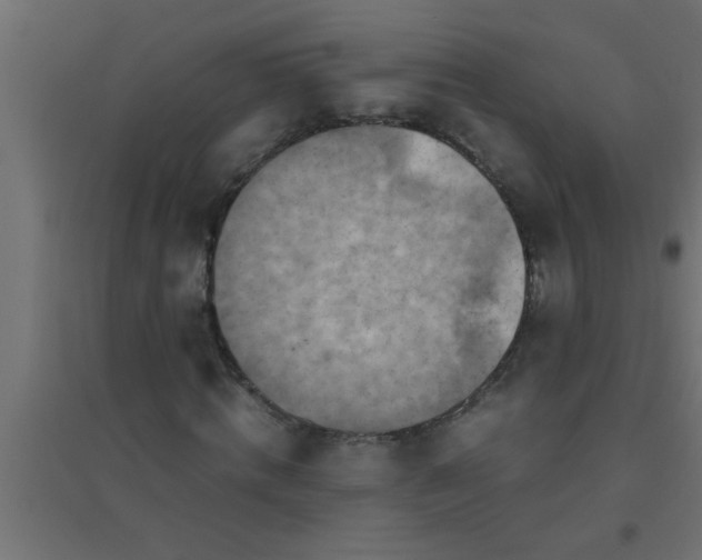 X0000094800820200711241422