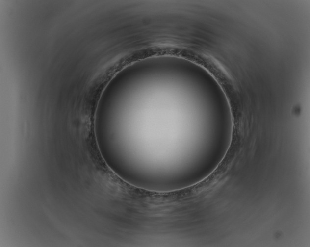 X0000094800821200711241422