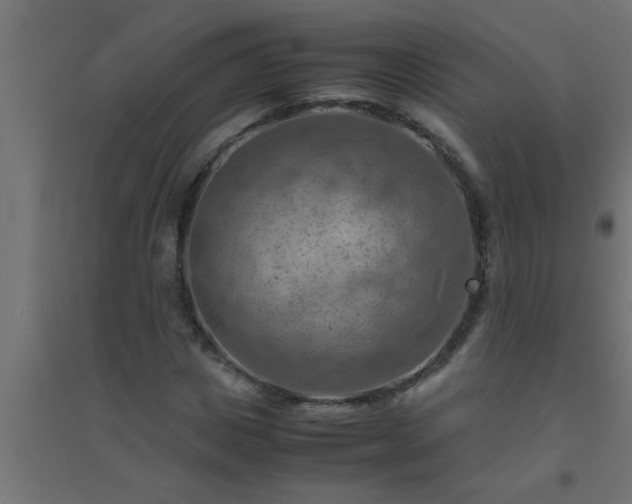 X0000094800825200711241422