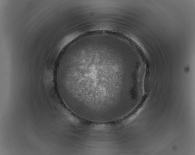 X0000094800826200711241422