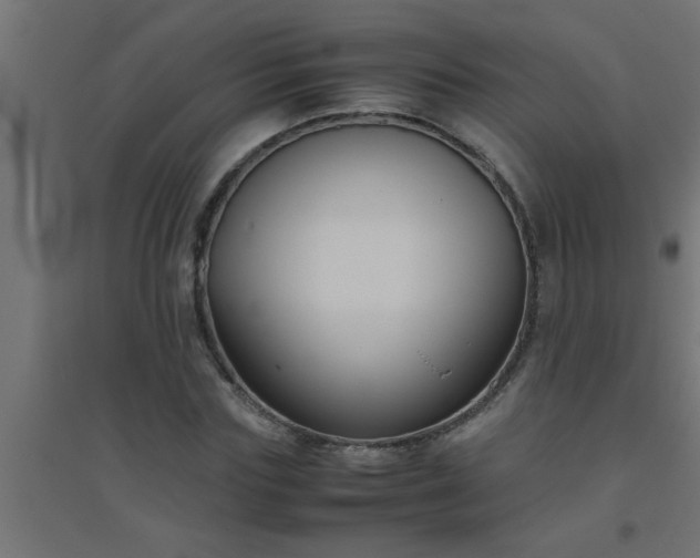 X0000094800827200711241422