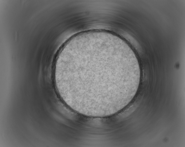 X0000094800828200711241422
