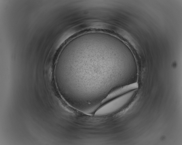 X0000094800829200711241422