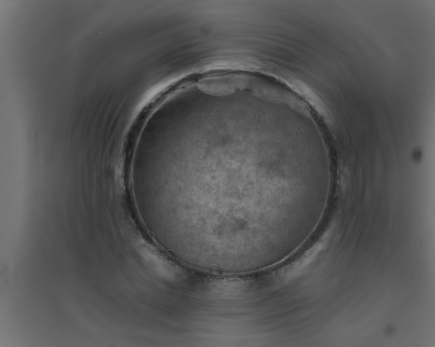 X0000094800830200711241422