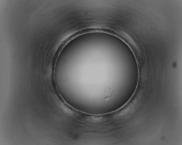 X0000094800831200711241422