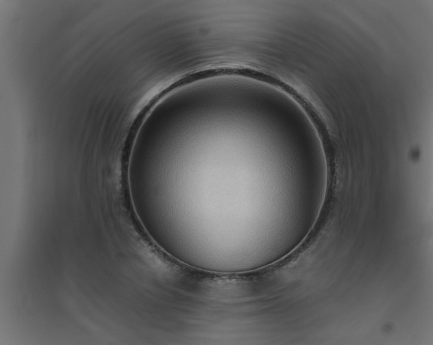 X0000094800834200711241422