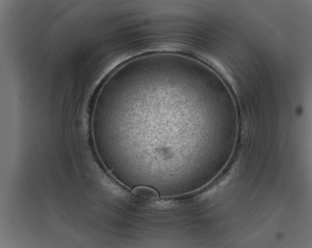 X0000094800835200711241422