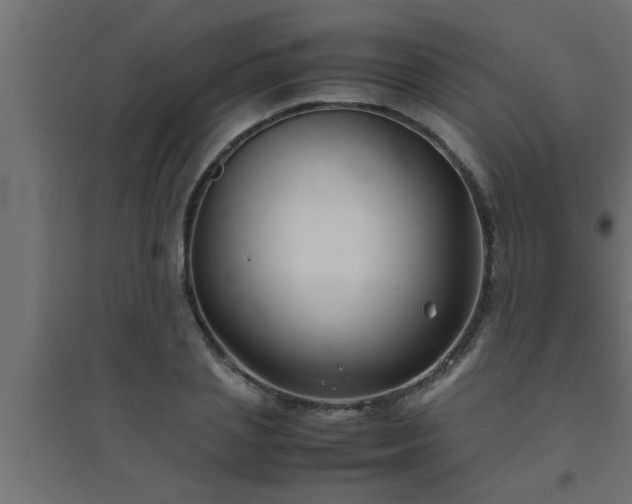 X0000094800837200711241422