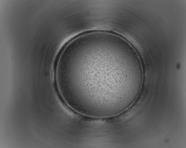 X0000094800838200711241422