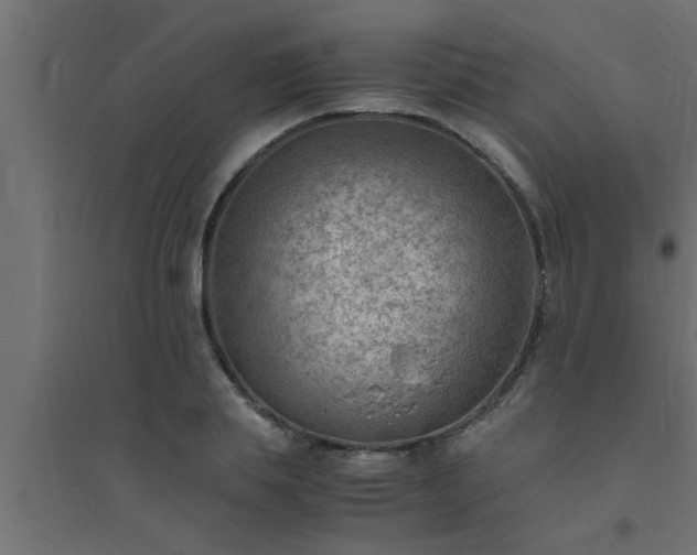 X0000094800839200711241422