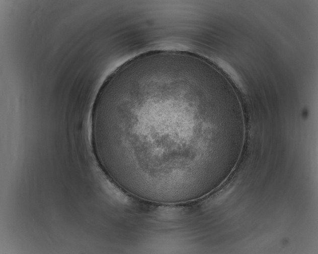 X0000094800840200711241422