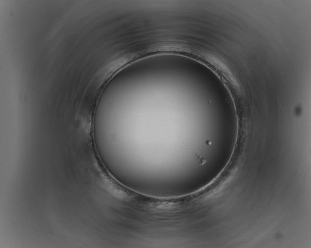 X0000094800841200711241422