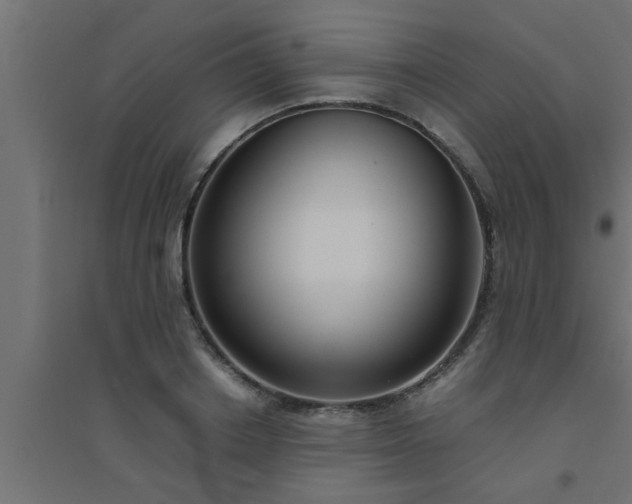 X0000094800842200711241422