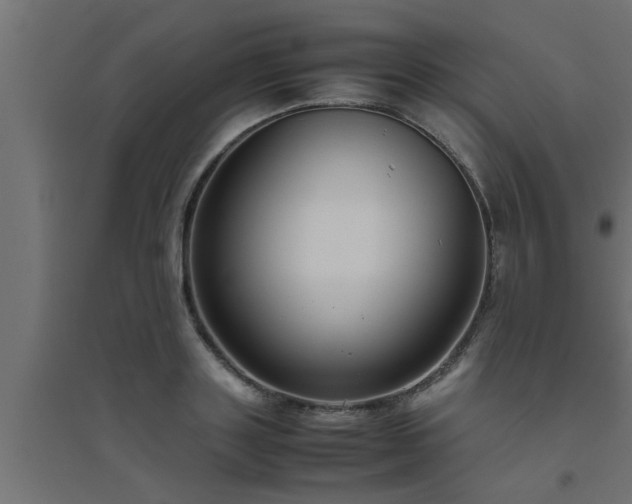 X0000094800843200711241422