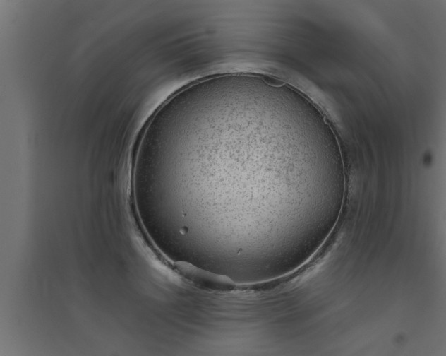 X0000094800844200711241422