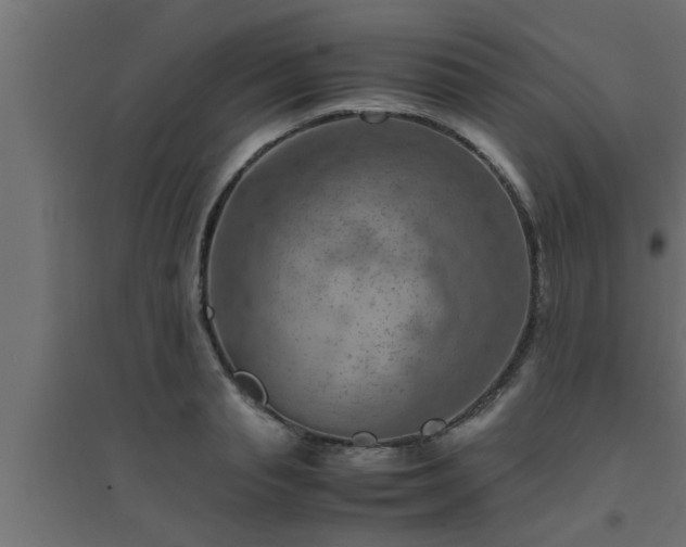 X0000094800845200711241422