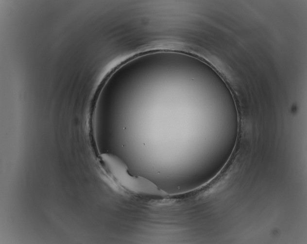 X0000094800846200711241422