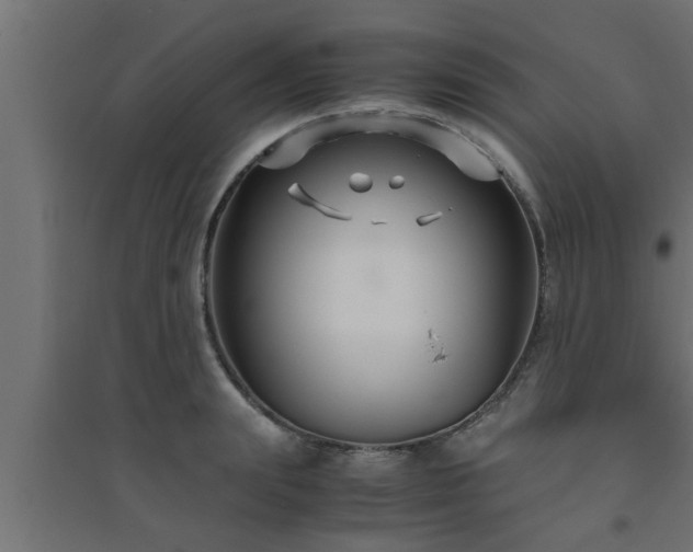 X0000094800847200711241422