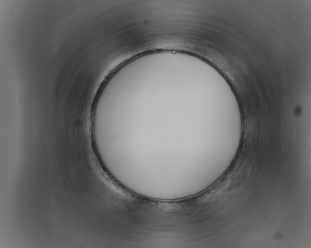 X0000094800848200711241422
