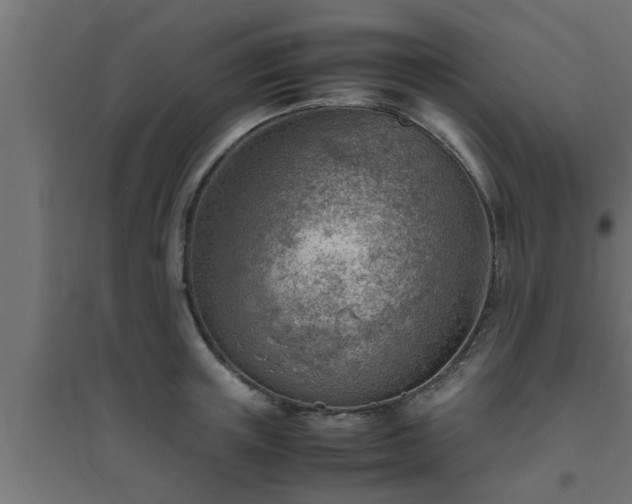 X0000094800851200711241422