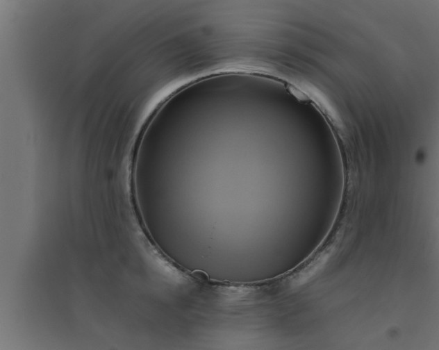 X0000094800854200711241422
