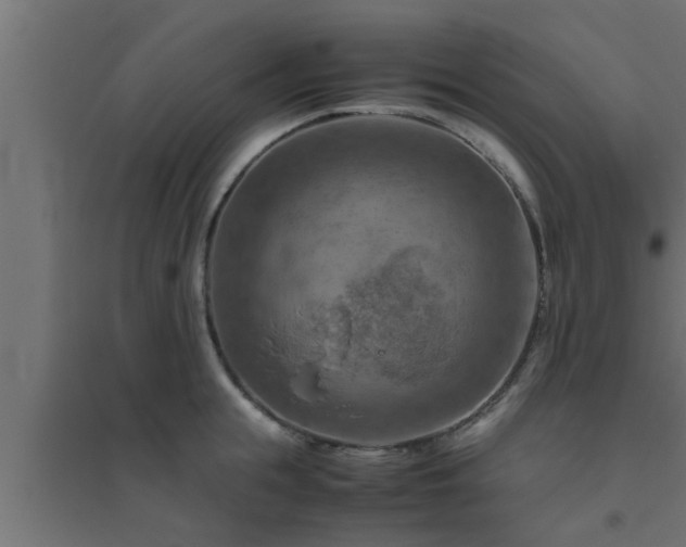 X0000094800855200711241422