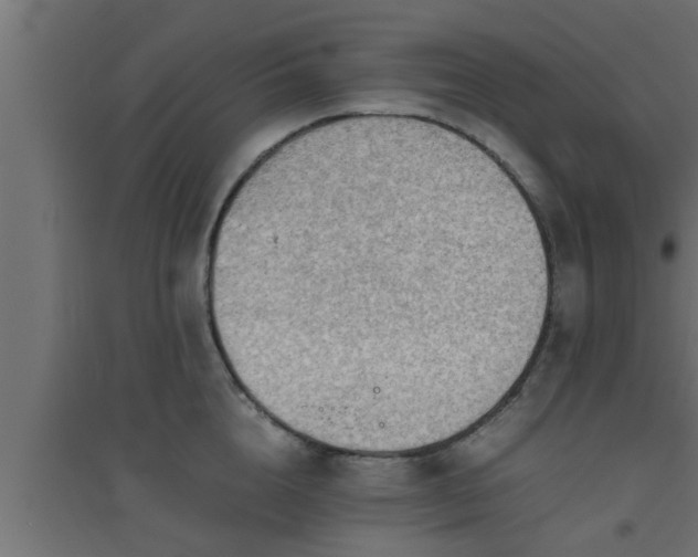 X0000094800856200711241422