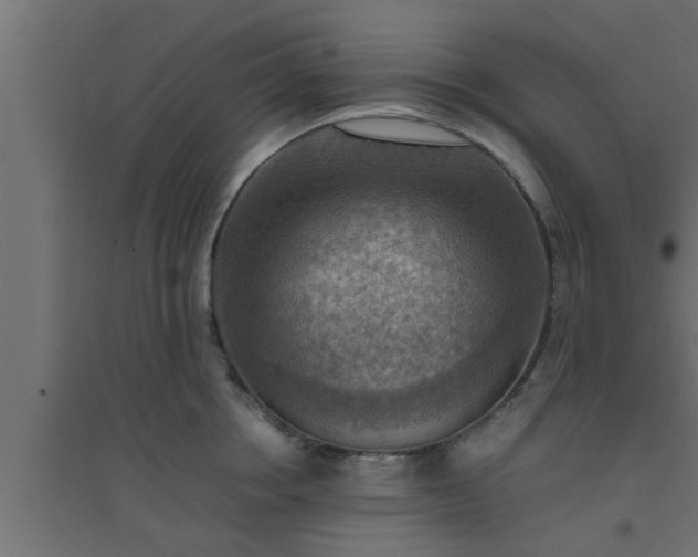 X0000094800858200711241422