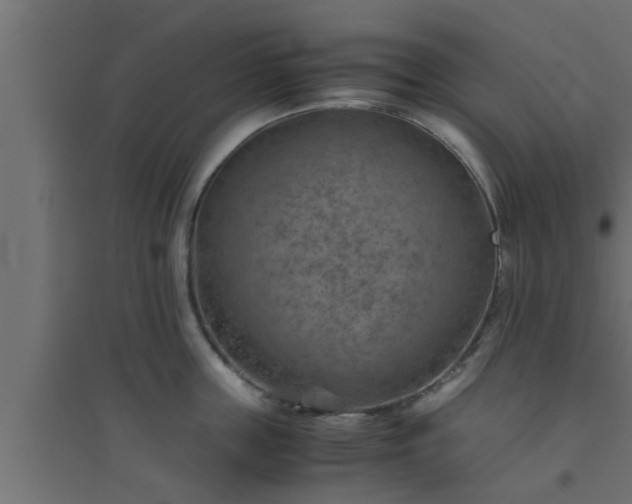 X0000094800859200711241422