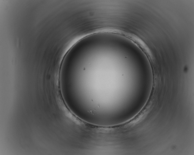 X0000094800860200711241422