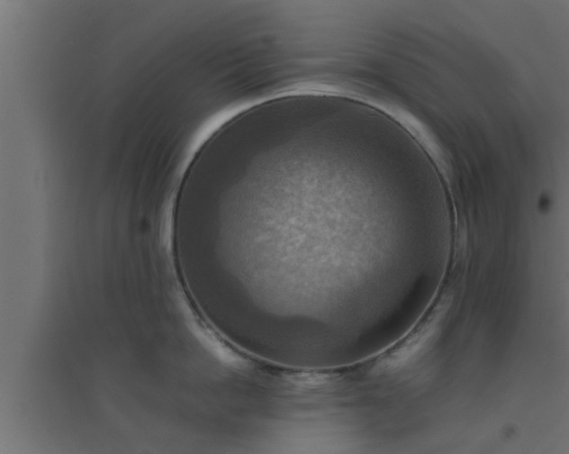 X0000094800862200711241422