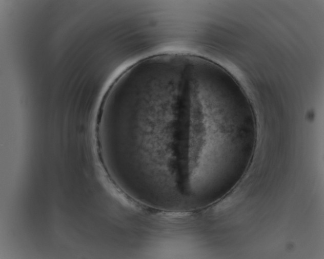 X0000094800864200711241422