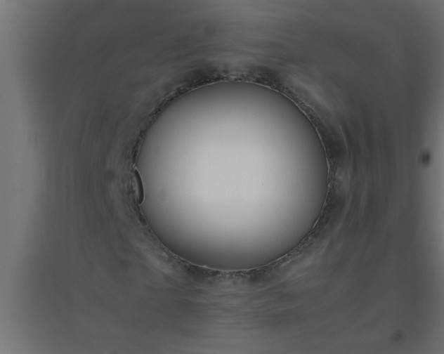 X0000094800865200711241422
