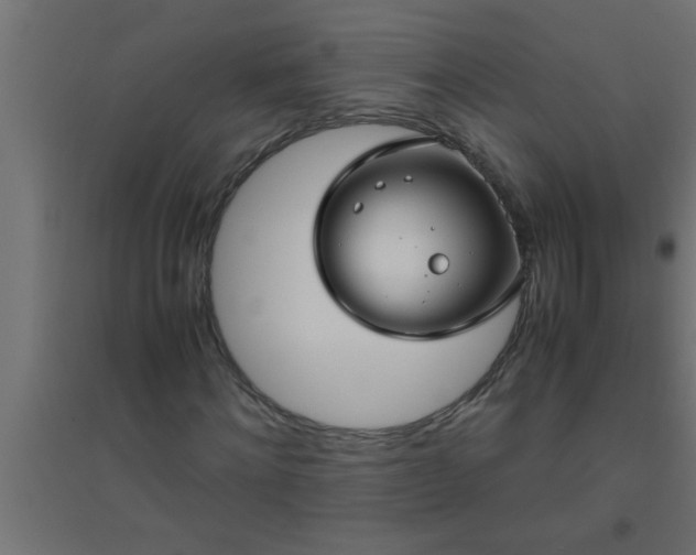 X0000094800868200711241422