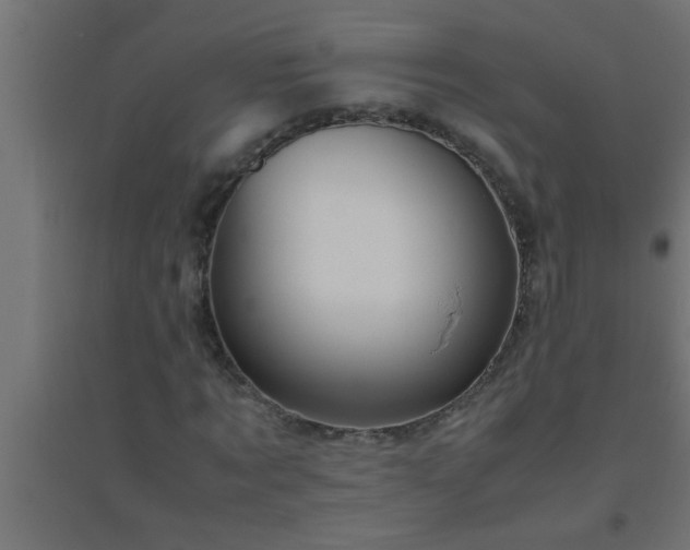 X0000094800869200711241422