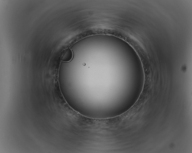 X0000094800870200711241422