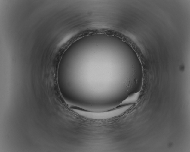 X0000094800871200711241421