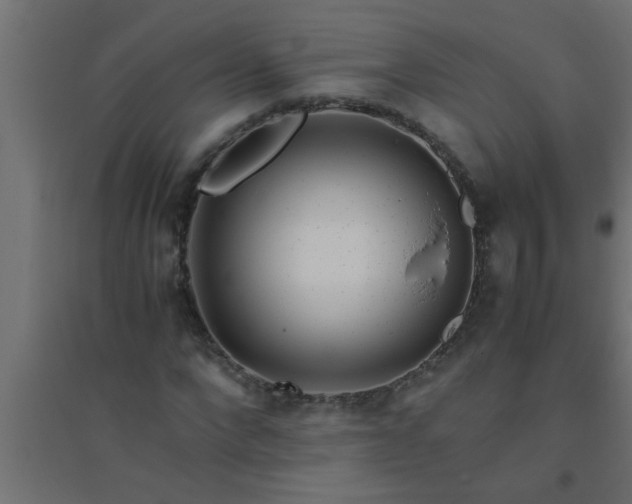 X0000094800872200711241421