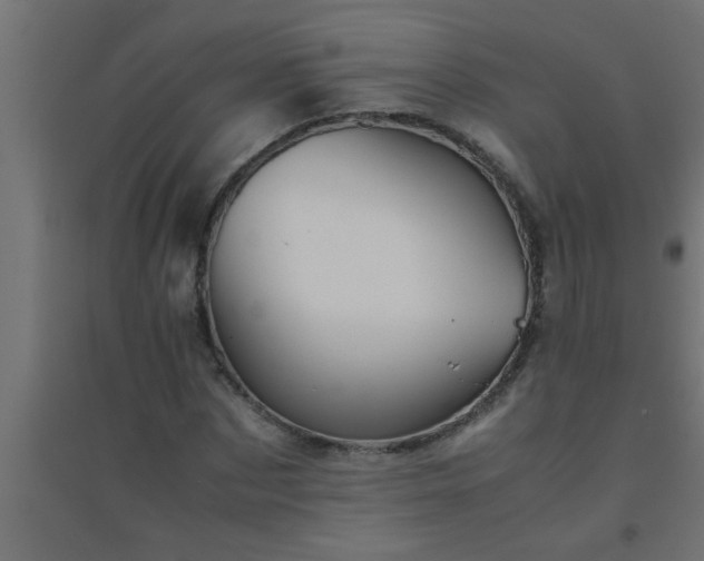 X0000094800873200711241421