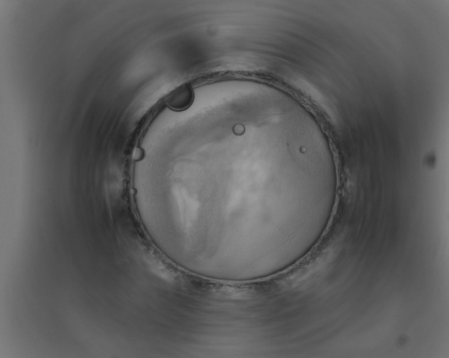 X0000094800874200711241421