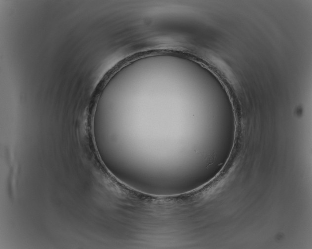 X0000094800875200711241421