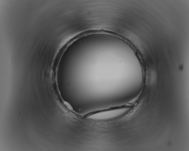X0000094800876200711241421